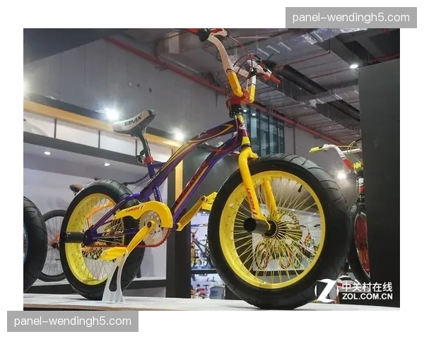 观点：国家体育系统与街头出身的天才，哪种模式更能培养出BMX冠军？