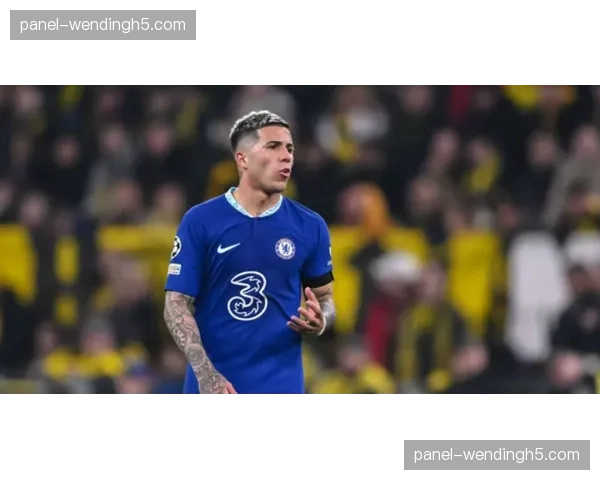 镜头聚焦:恩佐·费尔南德斯中场抢断后送出一脚40米穿透性长传策动反击 镜头聚焦:恩佐·费尔南德斯中场抢断后送出一脚40米穿透性长传策动反击